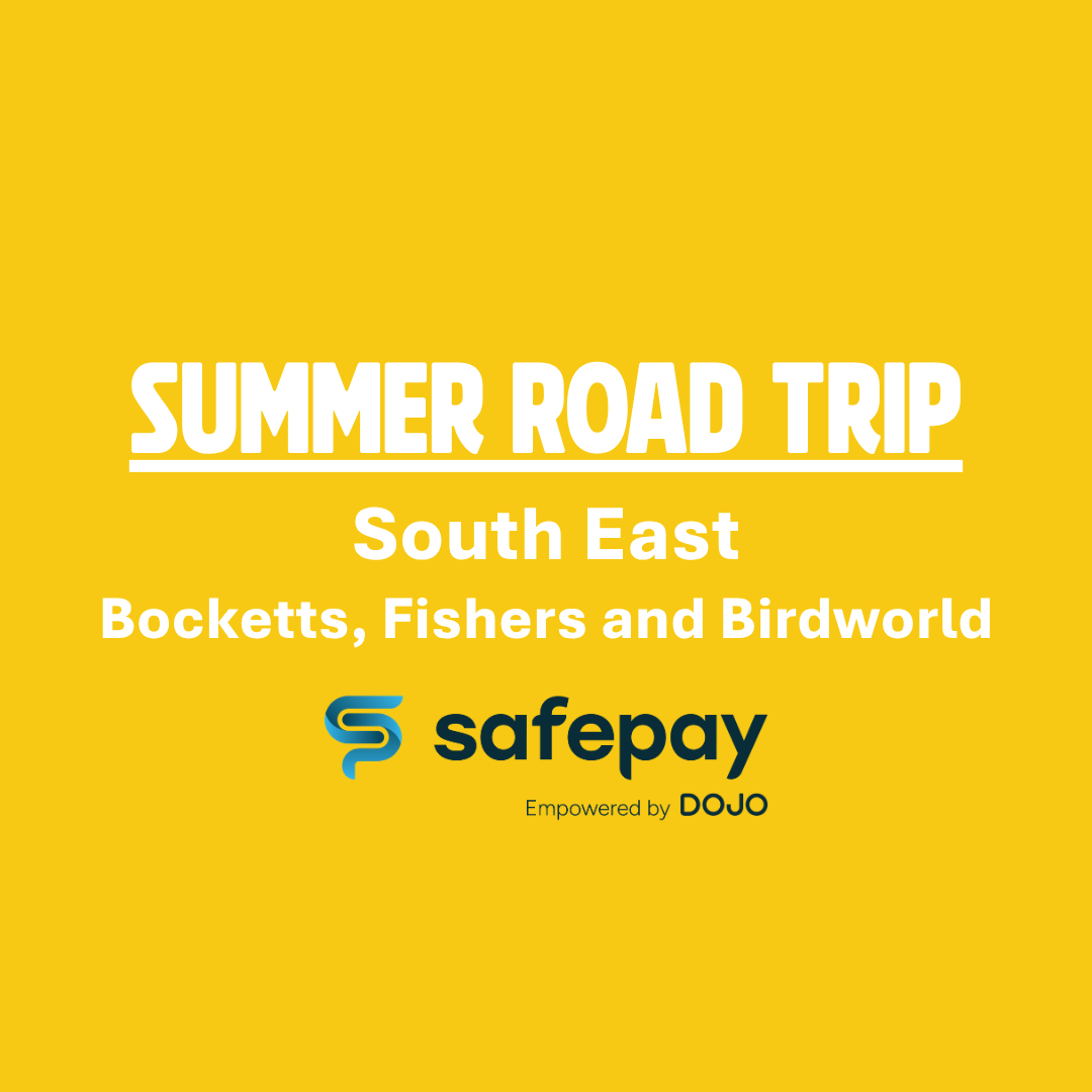 Summer Road Trip 2026