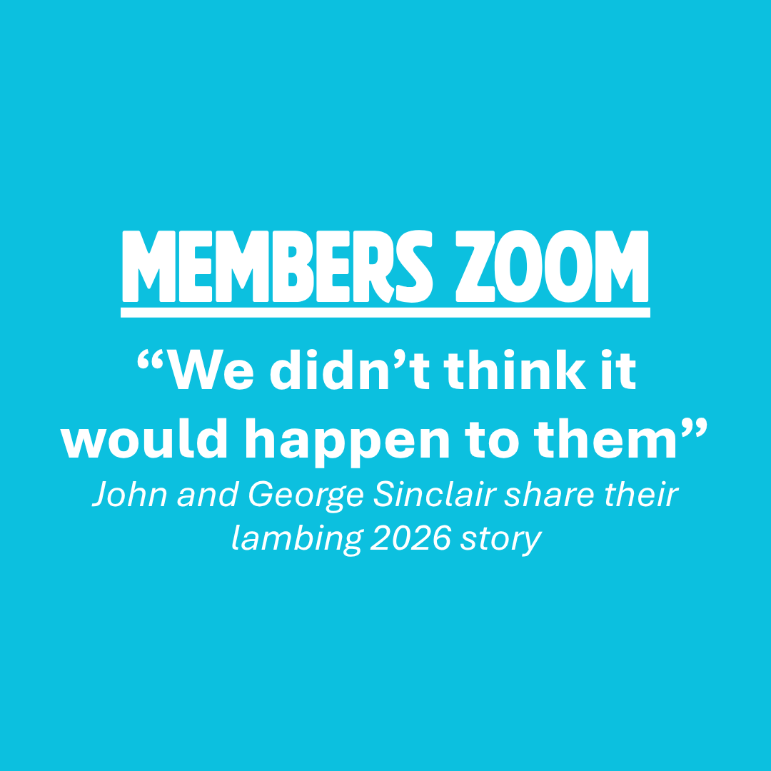 Members Zoom focussing on Lambing Events