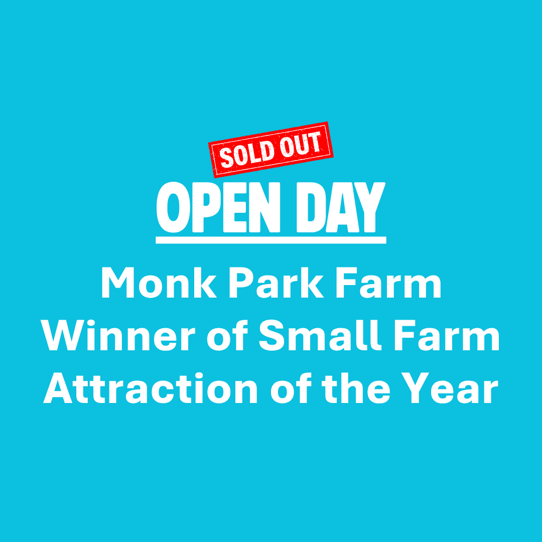 Open Day at Monk Park Farm