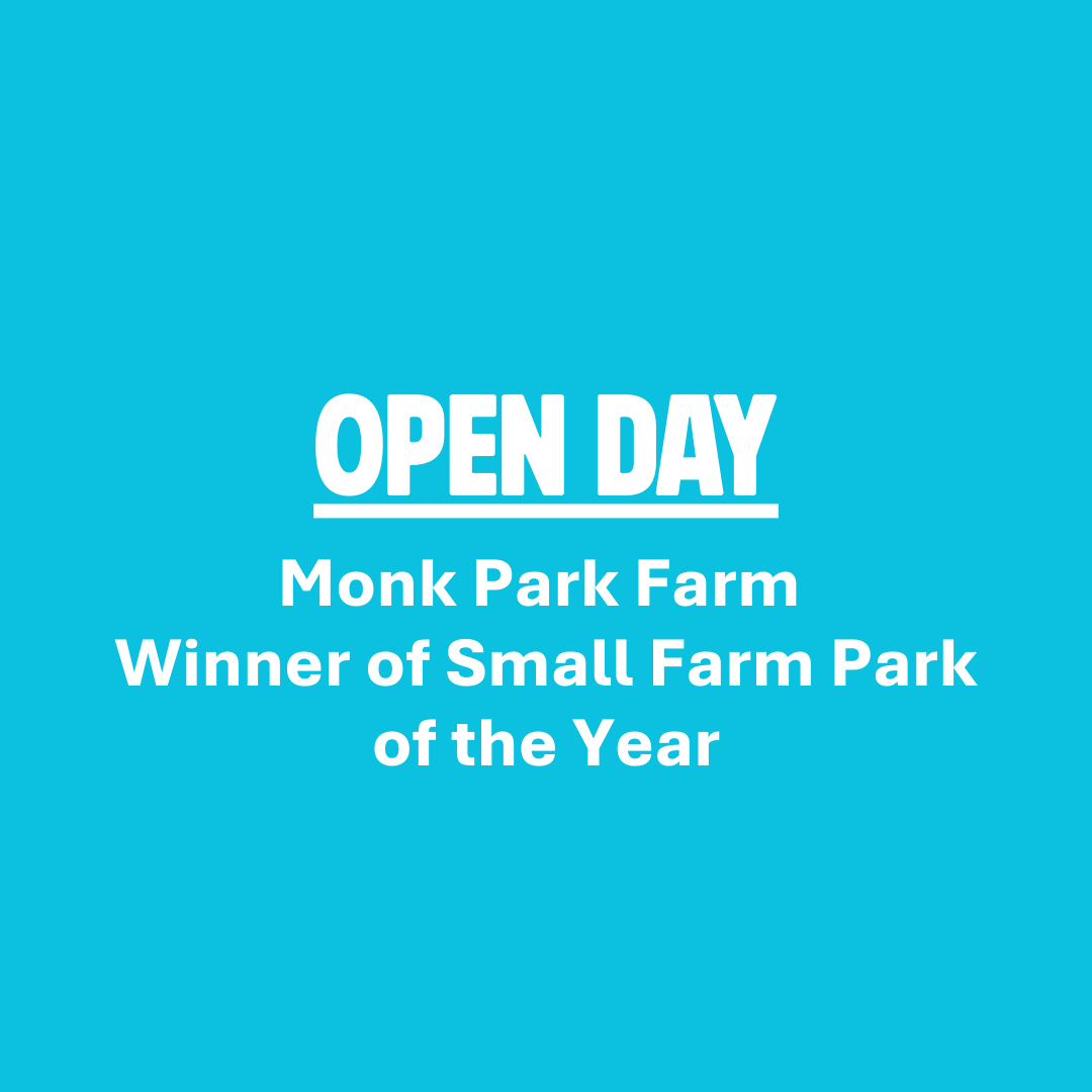 Open Day at Monk Park Farm