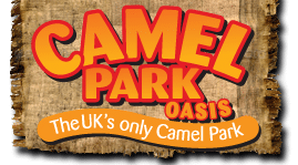 oasis-camel-park