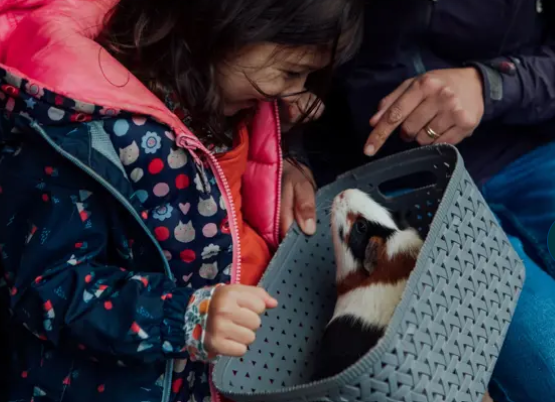 chatsworth-farmyard-&-adventure-playground