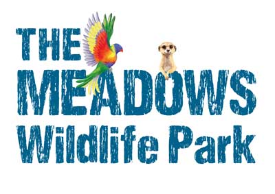 playworks-the-meadows