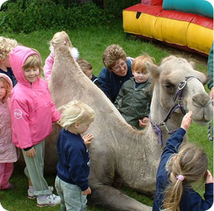 oasis-camel-park