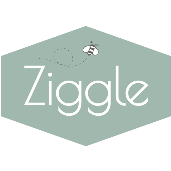 ziggle-baby-ltd